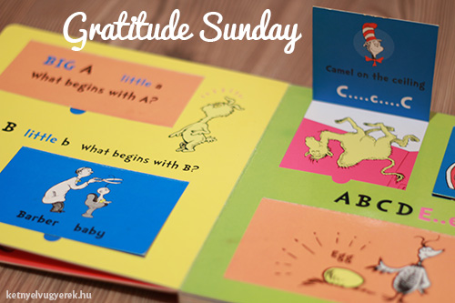Gratitude Sunday #1